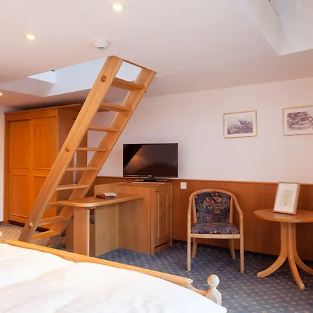 Walliserhof ホテル 3*