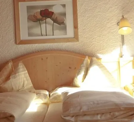 Walliserhof 3*