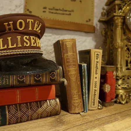 Walliserhof Hotel 3*
