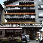Ξενοδοχείο Walliserhof